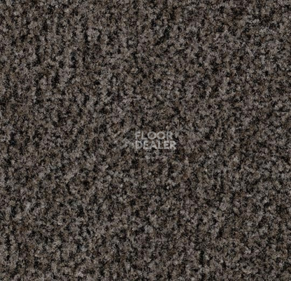 Грязезащитные покрытия Forbo Coral Brush 5714 Shark Grey фото 1 | FLOORDEALER